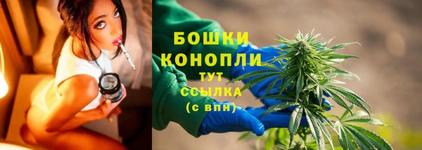 Альфа ПВП Верея