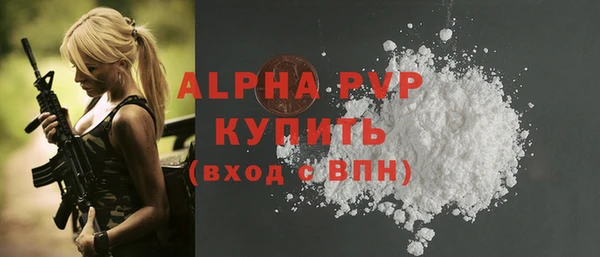 Альфа ПВП Верея