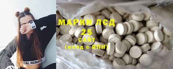 Альфа ПВП Верея