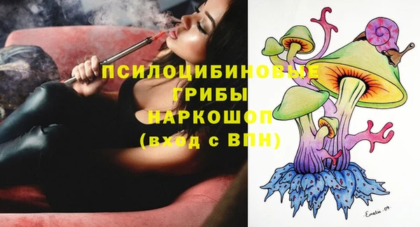 Альфа ПВП Верея