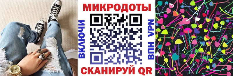 Псилоцибиновые грибы Cubensis  Всеволожск 